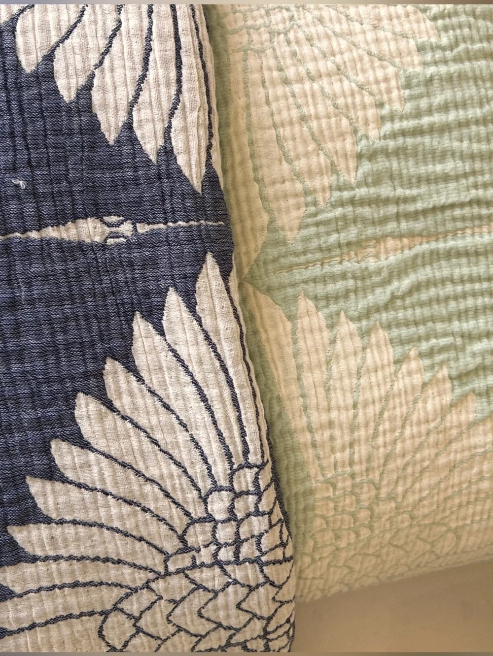 Anthropologie not all